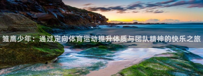 三亿体育：雏鹰少年：通过定向体育运动提升体质与团队精神的快乐之旅